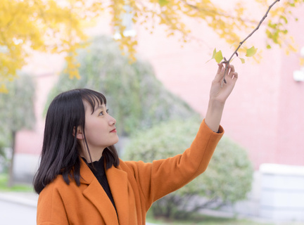 怎么办菲律宾签证(签证流程更新)